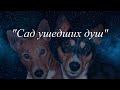 Сад ушедших душ - Пролог - Ранние годы Геннадия