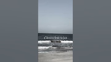 #القرآن_الكريم #اكسبلور #المصحف #بسم_الله_الرحمن_الرحيم #سورة_البقرة #راحة_نفسية