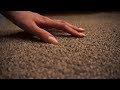 Asmr aggressive carpet scratching