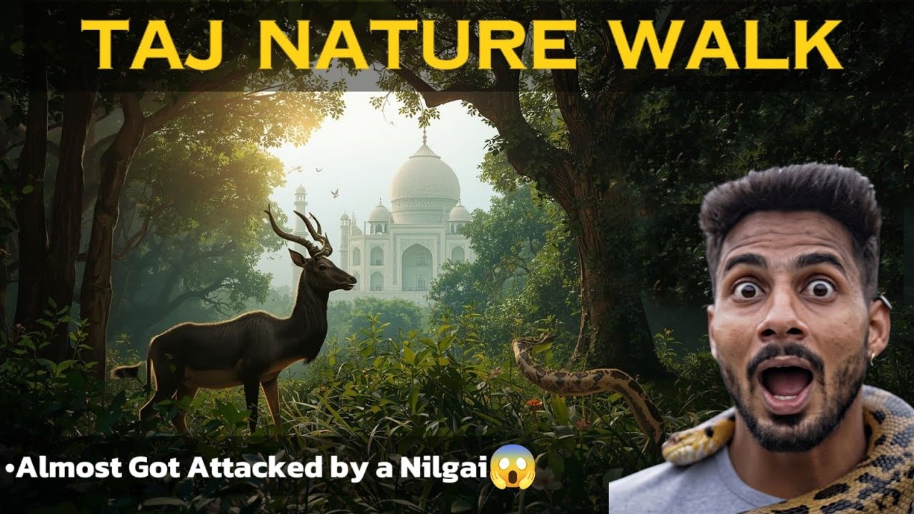 “Taj Nature Walk | Agra's Hidden Forest"🦌