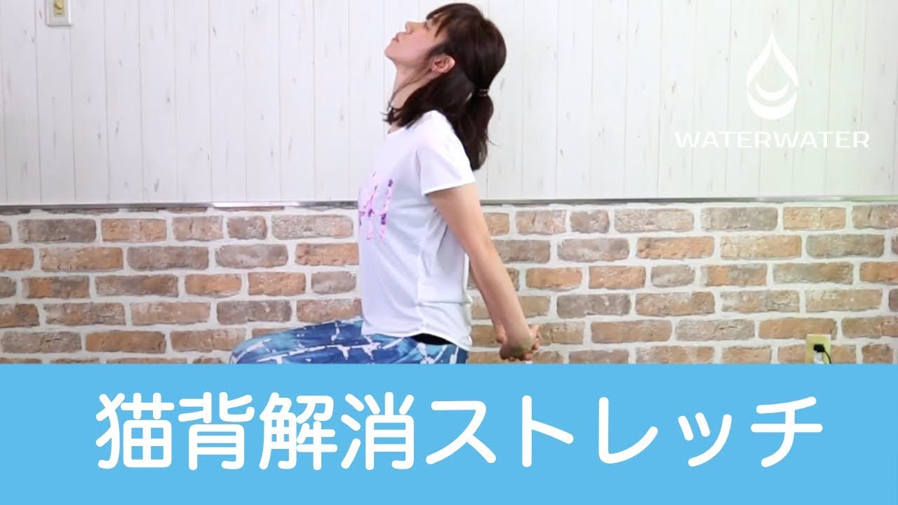 どれが1番効果のある猫背矯正ベルトか調べてみた オススメの改善動画あり Arma Search どれが1番効果のある猫背矯正ベルトか調べてみた オススメの改善動画あり Arma Search