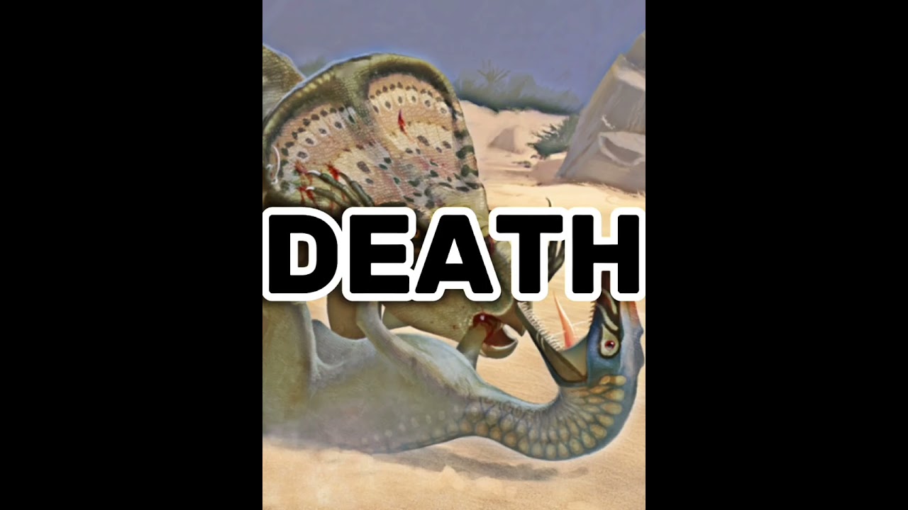 DINO DEATH MATCH!!! 