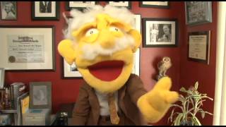 The YGA: An Introduction by Professor Hans Von Puppet