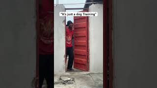 It’s just a dog training 😂🤣 #funny #comedy #genzmatayas