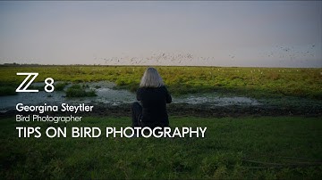Nikon Z 8 | Tips for photographing birds in flight with Georgina Steytler