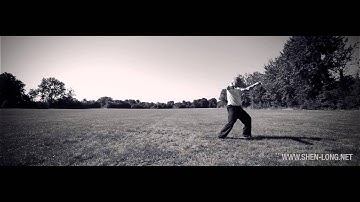 Taijiquan Yang style (Wang Zhi He school) - 2nd section - Fa jing (explosive) form