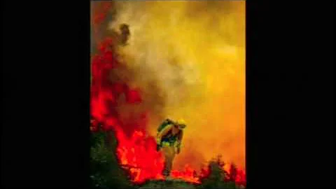 LA FIRE FIGHTERS - MATTHEW KURLAND