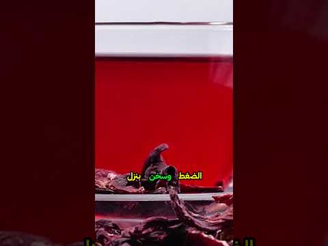 هل شرب الكركديه بارد أو ساخن يؤثر على ضغط الدم