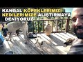 Kangal köpeklerimizi kedilerimize alıştırmaya deniyoruz 🍀