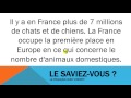Learn French  Le saviez vous  Les animaux domestiques en France