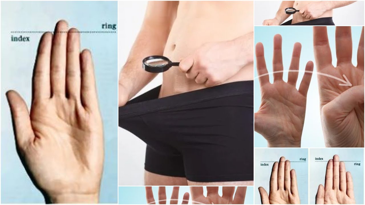 What Your Hand Says About Your Penis size and 10 crazy body connections