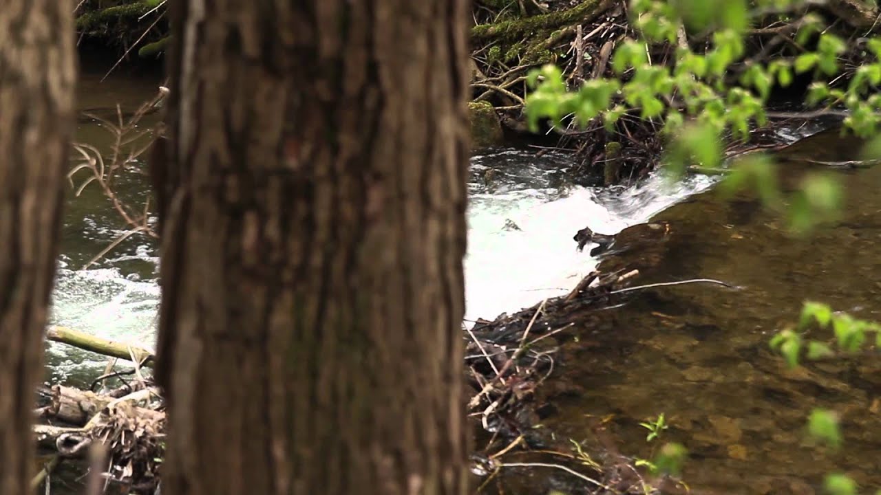 Polarisationsfilter Wasserspiegelung Youtube