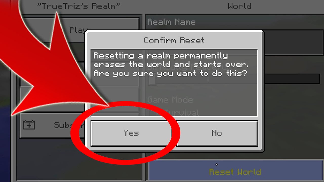 I AM SORRY!!! // DELETING MY MCPE REALMS SMP WORLD SERVER 