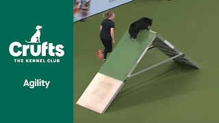 Agility Kennel Club British Open Final Part 3 | ​Crufts 2022