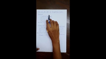 Operations Research: Tutorial 1 - Introduction to The Transportation Problem