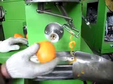persimmon peeling machine ხილის  სათლელი დანადგარი