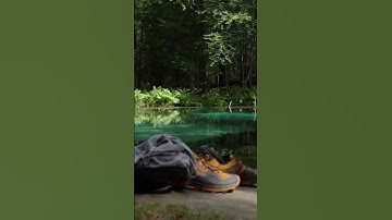 Thumbnail of Beautiful Natural Spring Swimming Hole in central PA! #asmr #asmrsounds #relaxing #relaxingsounds