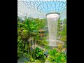 Аэропорт в Сингапуре, 40-м водопад.