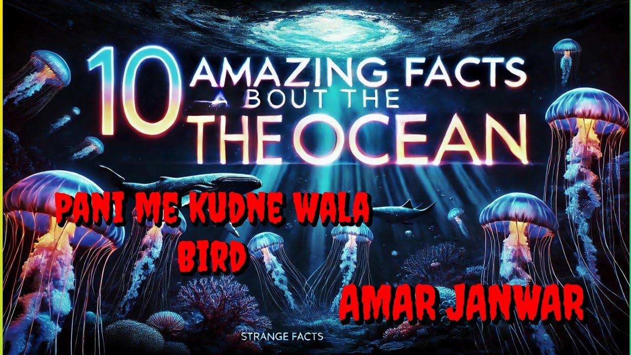 10 Amazing Facts About Ocean | Samundar ke bare me 10 interesting facts ...