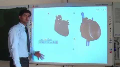 Interactive Whiteboard