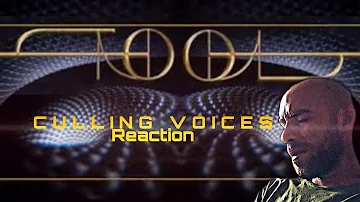 (Reaction) Tool - Culling Voices