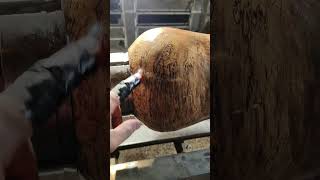 Vaso hollowform em Tipuana 2 #woodturning #decoracaodeinteriores #homedecor #artpiece #hollowform