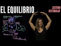 Fisiología del equilibrio, Aparato Vestibular