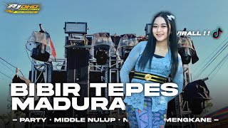 Download lagu DJ BIBIR TEPES PARTY STYLE KARNAVAL !! DJ MADURA TERBARU