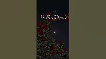 "يوم ندعو كل أناس بإمامهم | تلاوة خاشعة تهز القلوب" #قرآن #اكسبلور #طمأنينة #تلاوة_خاشعة