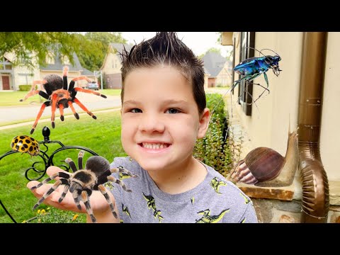 MORNING BUG HUNT