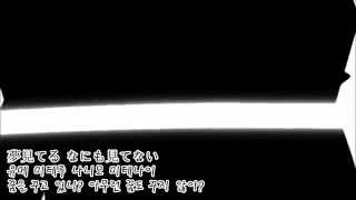 Video thumbnail of "[자막] 동방프로젝트 - Bad Apple"