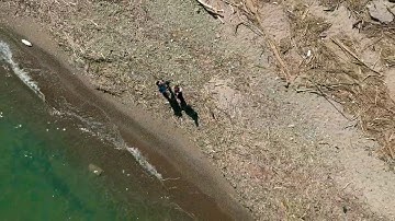 Dji spark Quickshot " Rocket"