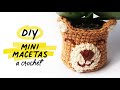 🧸Cómo Tejer un Oso KAWAII (Maceta a Crochet)🌱 | #CarliLo