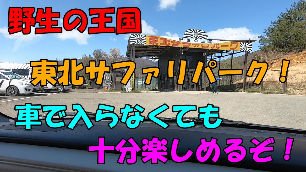 オススメ 野生の王国 東北サファリパーク ウォーキングエリアで楽しむ方法 ショーにふれあいに動物の魅力を十分感じられるパーク Youtube
