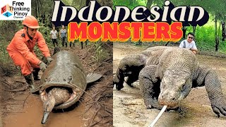Compilation Mabangis Na Hayop Ng Indonesia At Africa Wild Animals Of Savanna And Desert
