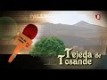 &#39;A Pie de Calle&#39;  TEJEDA DE TOSANDE