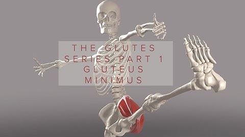 Glutes Series Part 1: Gluteus Minimus (3D Animation)