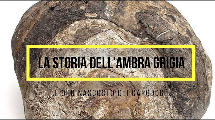 LA STORIA DELL'AMBRA GRIGIA