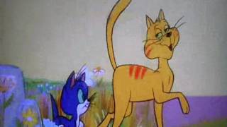 The Bubble Song Strongdrew941 Version