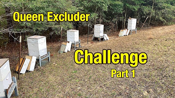 Should I Use Queen Excluders in Honey Bee Hives? Queen Excluder Challenge Part One