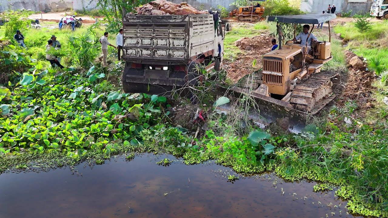 Perfectly Start New Fill Land Using Skill Dozer Pushing Soil in Huge Size Project & Dump Truck 5Ton
