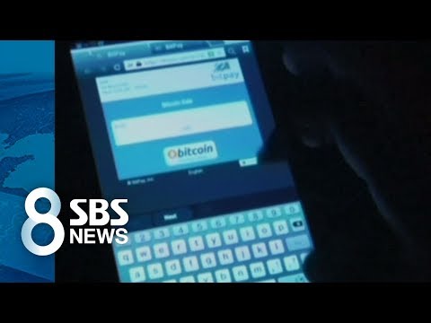 주저앉은 비트코인 가격 가상화폐 시가 총액 120조 원 증발 SBS 