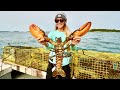 MASSIVE North Atlantic LOBSTER {Catch, Clean & Cook} Pulling Traps!