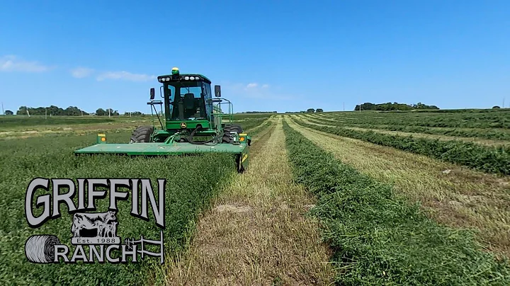 First Cutting Alfalfa On The Ground