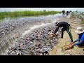 Top5 Videos Fishing on The Road Flooded 2021 - Amazing Catching & Catfish Swimming on The Road