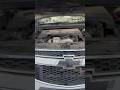 #samrala Chevrolet Cruze diesel engine leakage problem #automobile #mechanic #service