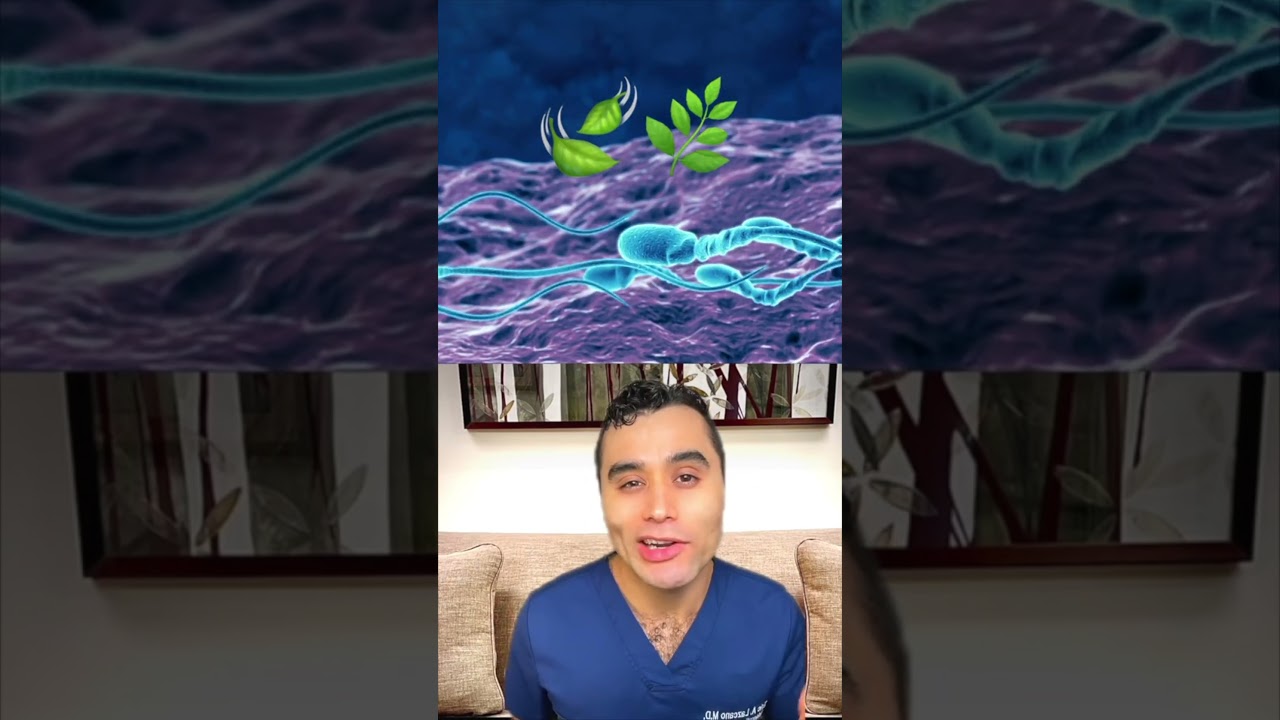 Marijuana and Its Effects on Sperm Quality