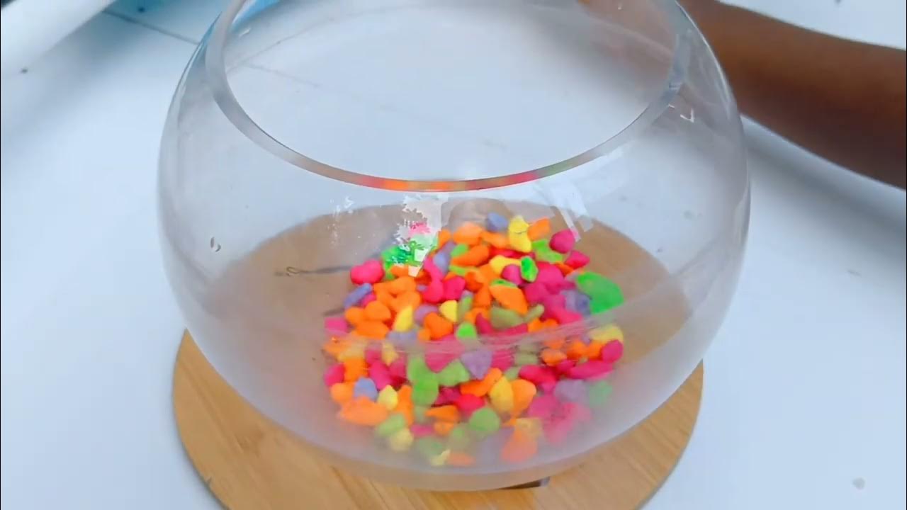 changing the water of my fish bowl fish_food mollyfish YouTube