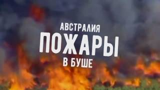 Экономика будущего: «Мегатренды, которые затронут каждый бизнес: прогноз на 30 лет