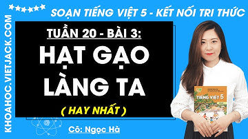Tiếng Việt lớp 5 Bài 3: Hạt gạo làng ta - trang 17, 18, 19, 20 | Kết nối tri thức (DỄ HIỂU NHẤT)
